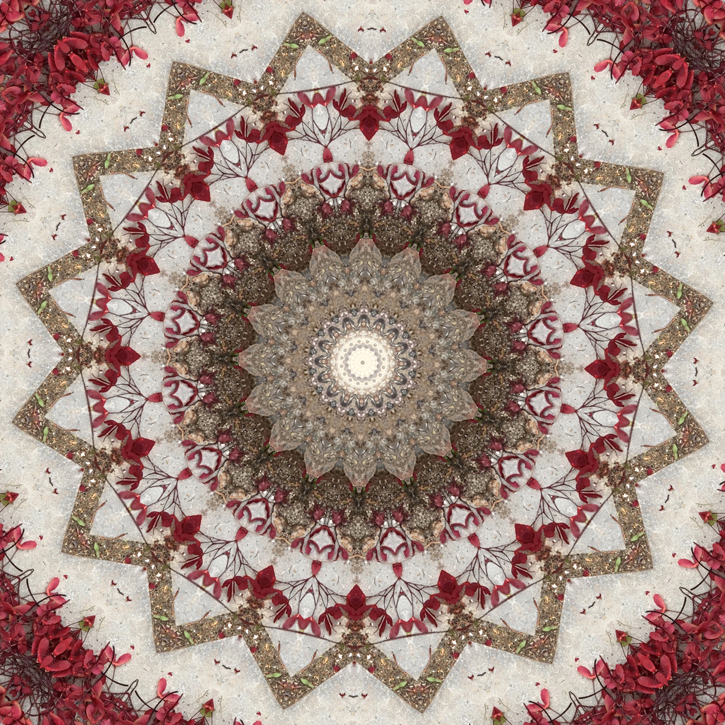 Red and beige maple seeds mandala. Photograph by Allison Maltese