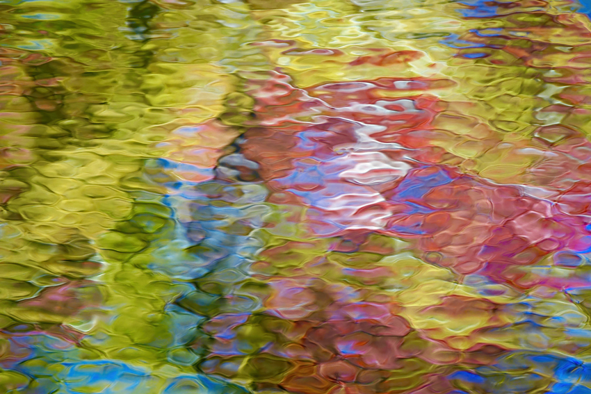 yellow, pink, blue and green ripples - Photography by Allison Maltese