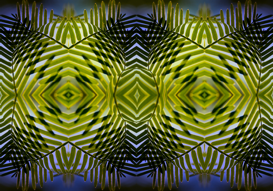 A collage of green palm leaves against a blue background. Photography by Allison Maltese