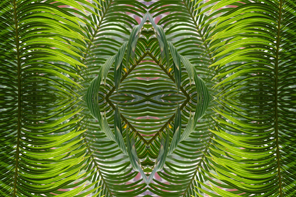 A mirrored collage of green palm fronds. Photography by Allison Maltese