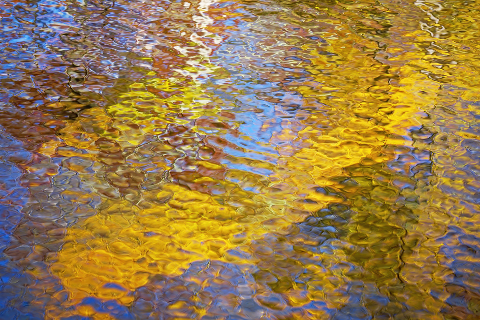 Golden water ripples on the surface of a pond. Photography by Allison Maltese